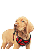 GOOPAWS Padded Reflective Dog Harness, Easy Control Lightweight Dog Harness - $25.95