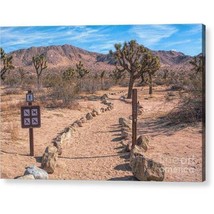 Acrylic Print "Trailhead" - $81.03 CAD - $455.94 CAD