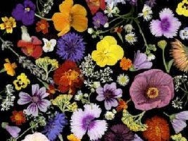 Organic Flowers 1 B - $5.95 CAD