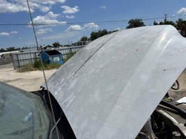 Hood Fits 99-07 FORD F250SD PICKUP 104905181Hood Only, Any Damage is Mar... - $2,711.14 MXN