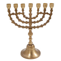 Jewish Candle Holder 7 Branched 7.8 inch from Jerusalem Bronze Menorah Judaica - £45.81 GBP