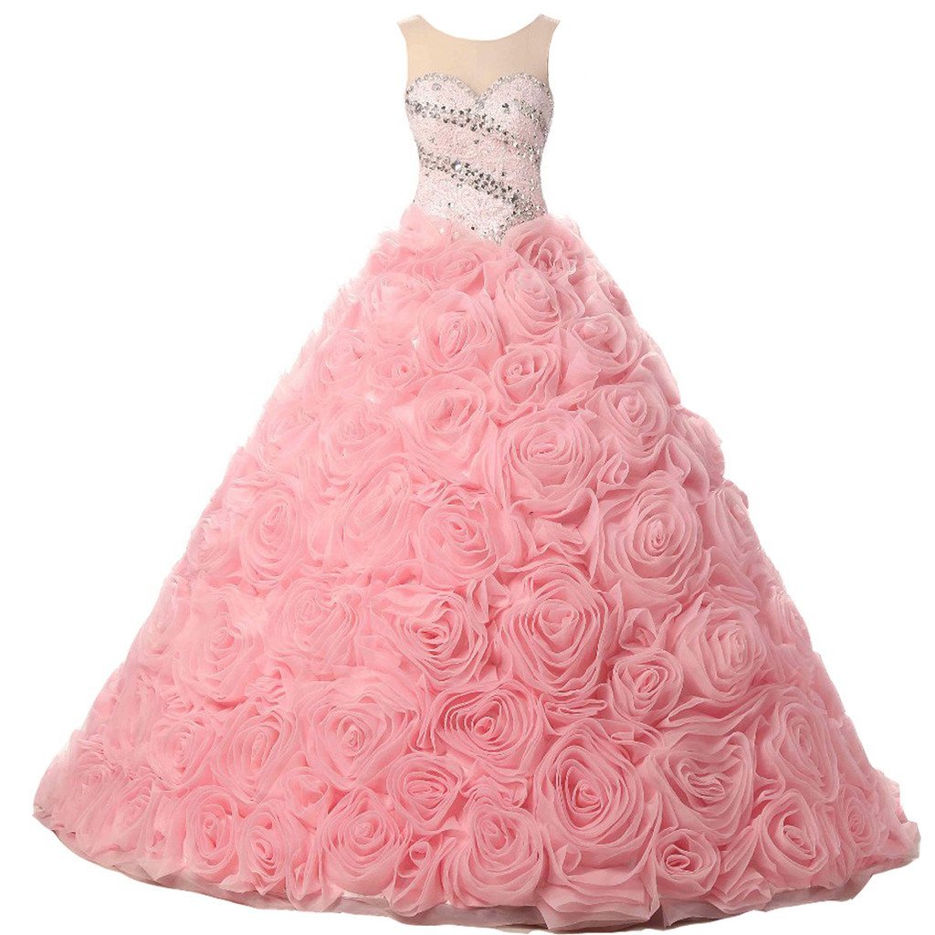 Kivary Floral Beaded Crystals Sheer Bateau Long Prom Quinceanera Dresses Plus Si