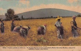 International Harvester IH India Reaping Hook Postcard E16 - £7.71 GBP