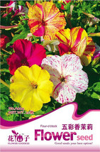 SL 1 Original Pack, 20 Seeds / Pack, Four O&#39;Clock Mix Seeds Organic Beautiful Vi - $1.38