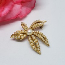 Vintage Unsigned Flower White Faux Pearl Gold Tone Pin Brooch - $11.95