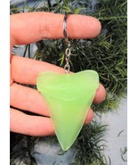 2 1/2 INCH LONG GREAT WHITE SHARK TOOTH REPLICA BIG FOSSIL GIANT GLOW KE... - $7.95