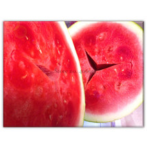Yellow Skin Red Seedless Watermelon Fruit Seeds Simple Pack 10 Seeds Sma... - $124.75 MXN