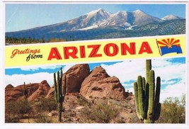 Postcard Greetings From Arizona Mountains Desert - £3.10 GBP