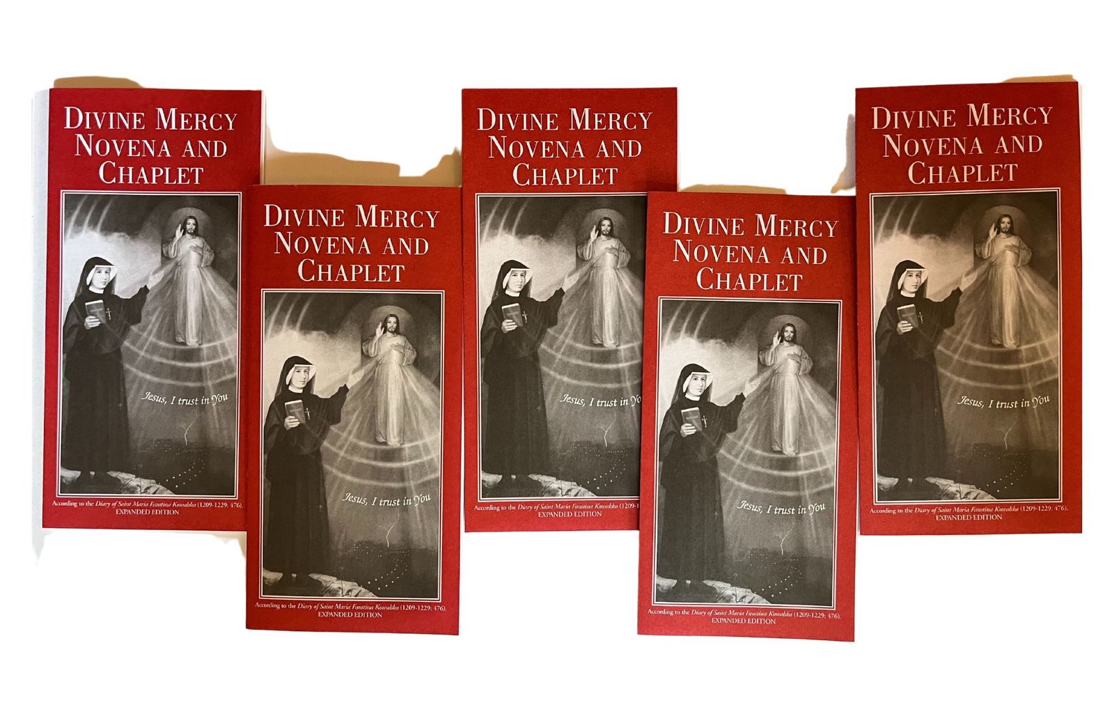 Primary image for Divine Mercy Novena and Chaplet 5 Pack