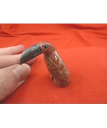 y-bir-to-43) little red gray Toucan tropical bird soapstone carving love... - $161.90 MXN
