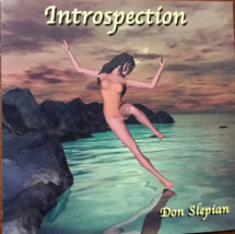 Introspection By Don Slepian Cd - £5.55 GBP