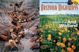 2003 March Arizona Highways Petrified Forest Cactus League Butterfly Myths - £20.45 GBP