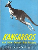 Louis DARLING Kangaroos and Other Animals with Pockets 1ED HCDJ Kids Env... - £10.38 GBP