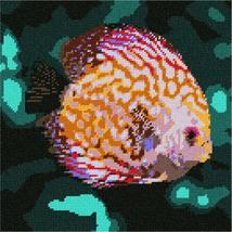 Pepita Needlepoint Canvas: Discus Fish, 10&quot; x 10&quot; - £62.12 GBP+
