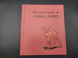 The True Book Of Animal Babies By Illa Podendorf FIRST EDITION - 1955 Hardcover - £11.29 GBP
