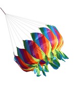 Colorful Rainbow Flower Kite Tail Windsock Line Laundry Flower Tail Kite... - $28.99