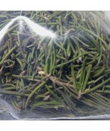 Natural organic rosemary local production dried green color weight 100 grams  - $55.00