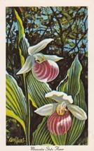 The Showy Lady&#39;s Slipper Minnesota State Flower MN Postcard C33 - £2.34 GBP