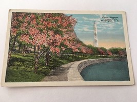 Vintage Postcard Unposted Cherry Blossoms At Potomac Park Washington DC #1 - £0.75 GBP