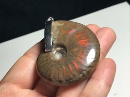 Natural Iridescent Ammonite Specimen Fossil Silver925 Pendant K081519-K - £52.27 GBP