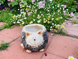 8inch Cat cute Pot - £7.99 GBP