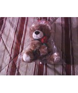 NEW FTD LOVE & HUGS BEAR WITH I LOVE YOU ROSE--BROWN BUILD-A-BEAR WITH MESSAGING - $65.00