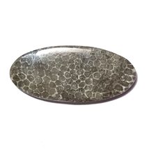 08.57 Carats TCW 100% Natural Beautiful Black Fossil Coral Oval Cabochon Gem by  - £10.92 GBP