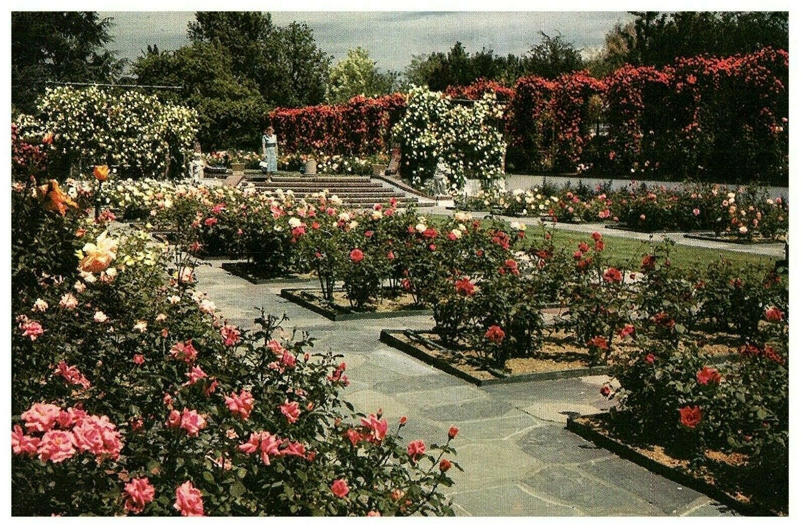 Lambert Gardens Double Lined Rose Gardens Postcard - $4.27
