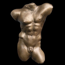 Nude Naked Greek Gay Male Man Torso sculpture plaque in Bronze Finish - $58.41