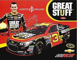 AUTOGRAPHED 2014 Austin Dillon #3 DOW GREAT STUFF (Childress Racing) Spr... - £66.35 GBP