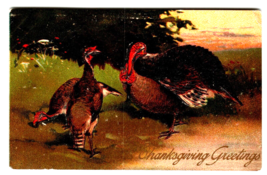Postcard Thanksgiving Greetings Wild Turkeys Embossed PFB Germany 1913 Vintage - £8.59 GBP