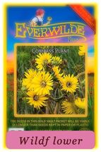 20 Compass Plant Organic Heirloom Wildflower Seeds Everwilde Farms Mylar... - $10.77