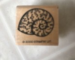 nautilus SEA SHELL Beach Ocean  Stampin&#39; Up 2000 Wood RUBBER STAMP - £7.84 GBP