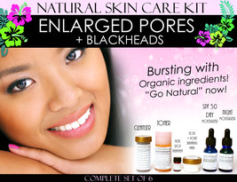 Natural Skin Care Kit For Enlarged Pores and Blackheads Pore Refining Complete S - $143.99