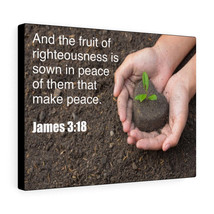  And The Fruit of Righteousness James 3:18 Bible Verse Canvas Ch - £67.27 GBP+