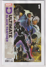 Ultimate Black Panther #1 R.B. Silva 2ND Printing Variant (Marvel 2024) &quot;New Unr - £5.46 GBP