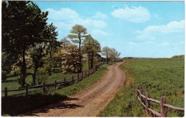 Ontario Postcard Spring Along A Winding Country Road - £2.31 GBP