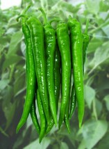 Anhui Green Long Sweet Cow-horn Pepper F1, 35 Seeds - $10.29