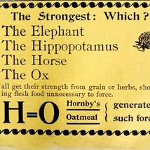 Hornby&#39;s Oatmeal 1894 Advertisement Victorian Animal Strength Grains ADBN1d - $19.99