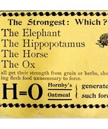 Hornby&#39;s Oatmeal 1894 Advertisement Victorian Animal Strength Grains ADBN1d - €17,09 EUR