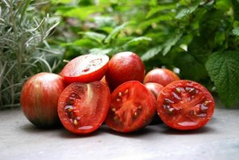 Orion&#39;s Belt Tomato - 5+ seeds - Graines - Semillas - Samen - P 430 - $5.21
