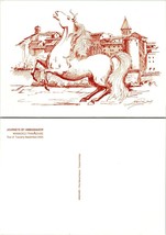 One(1) Italy Tuscany Horse Journeys Ambassador Mannocci TravAdvise VTG Postcard - £7.38 GBP