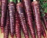 350 Cosmic Purple Carrot Seeds Fresh Fast Shipping - £7.20 GBP