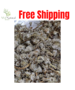 100 grams Organic Paronychia argentea عشبة رجل الحمامة الداحسية الهيدس ا... - $25.76 CAD