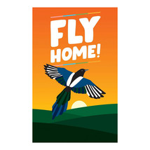 Fly Home Game - £45.49 GBP