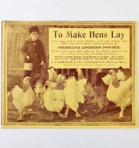 Sheridans Condition Powder Hens 1897 Advertisement Victorian Farming ADB... - $27.64 CAD