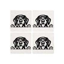 PEEKING GERMAN POINTER Coasters - $35.00