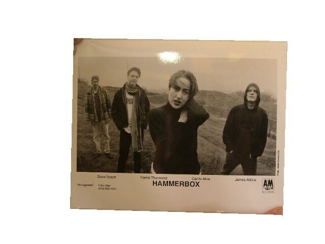 Hammerbox Presser Kit Photo - $26.99