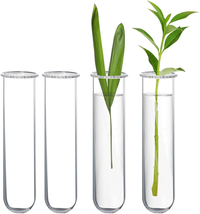 XXXFLOWER Glass Propagation Stations Accessories Glass Test Tubes Tiered... - €13,15 EUR