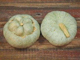 10 Specialty Squash Seeds Delicious New Fresh Seeds USA - $16.50